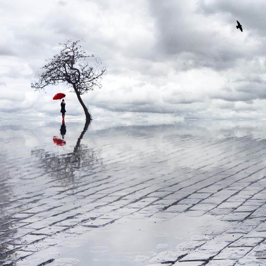 Reflect App iPhone Photos 48